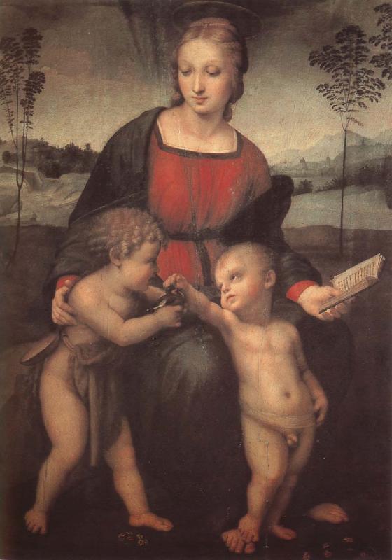 RAFFAELLO Sanzio The virgin mary  and John Germany oil painting art
